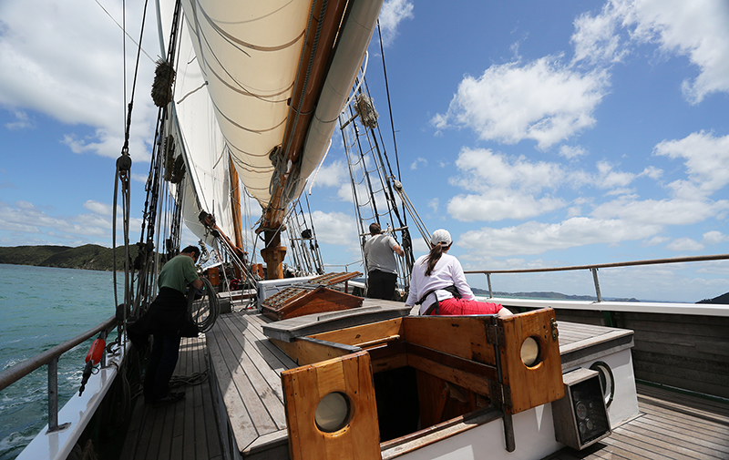 Sail on the R Tucker Thompson, Bay of Islands, NZ